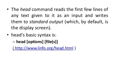 head command linux